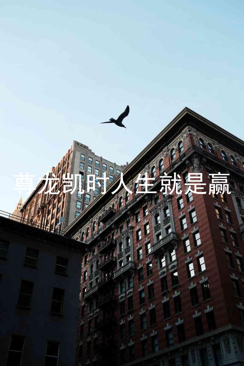 尊龙凯时人生就是赢