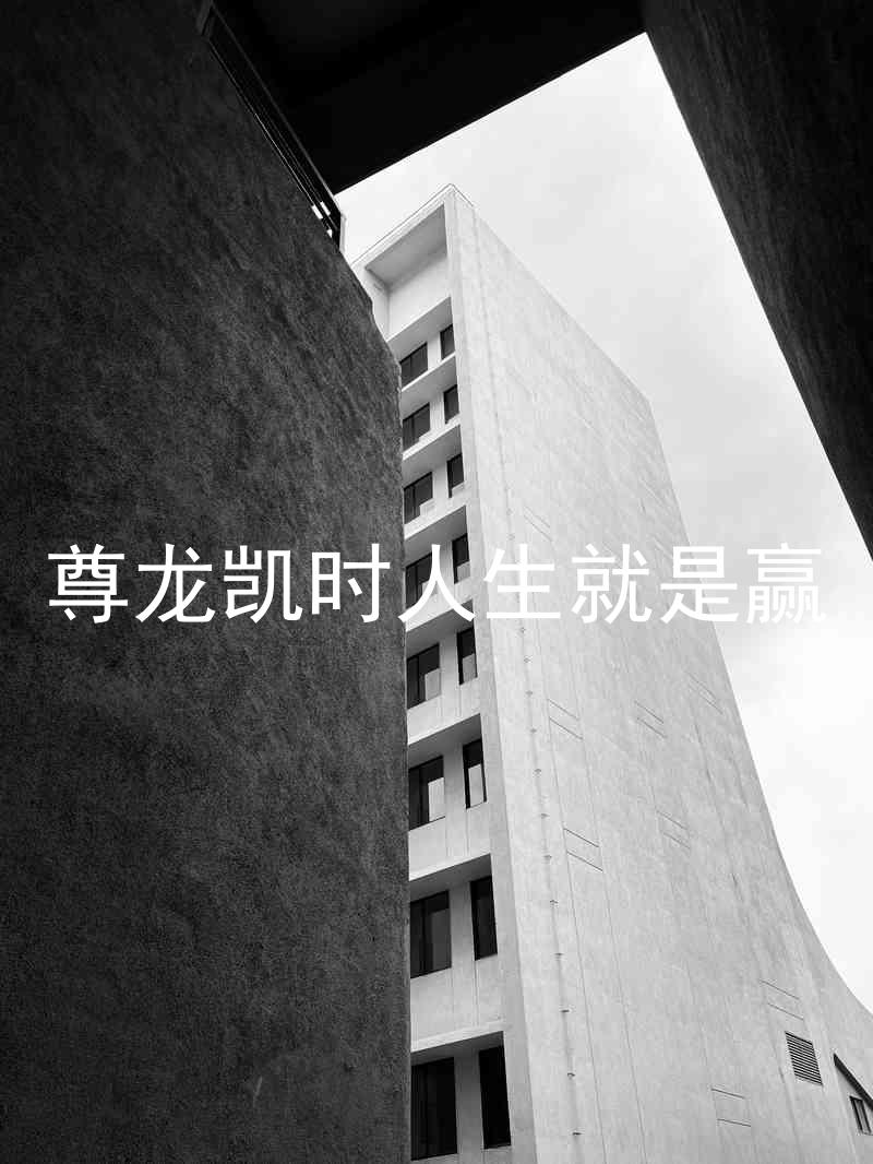 尊龙凯时人生就是赢