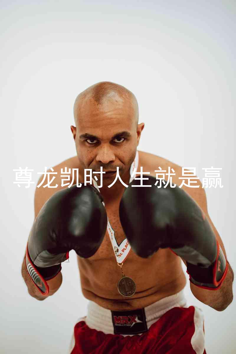 尊龙凯时人生就是赢