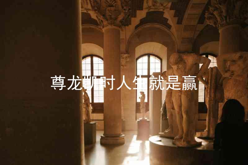 尊龙凯时人生就是赢