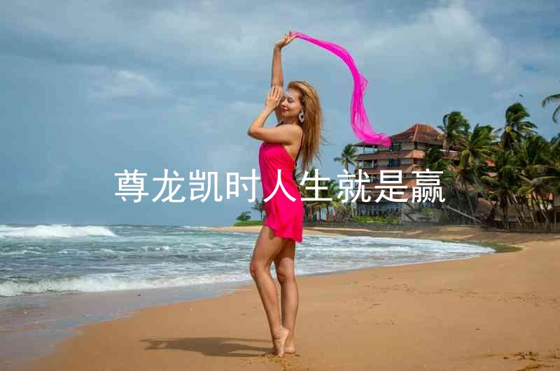 尊龙凯时人生就是赢