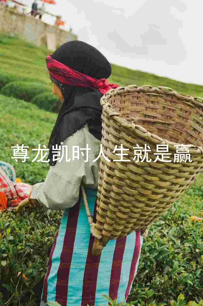 尊龙凯时人生就是赢